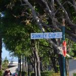 Disney_0115 (September 06, 2015)